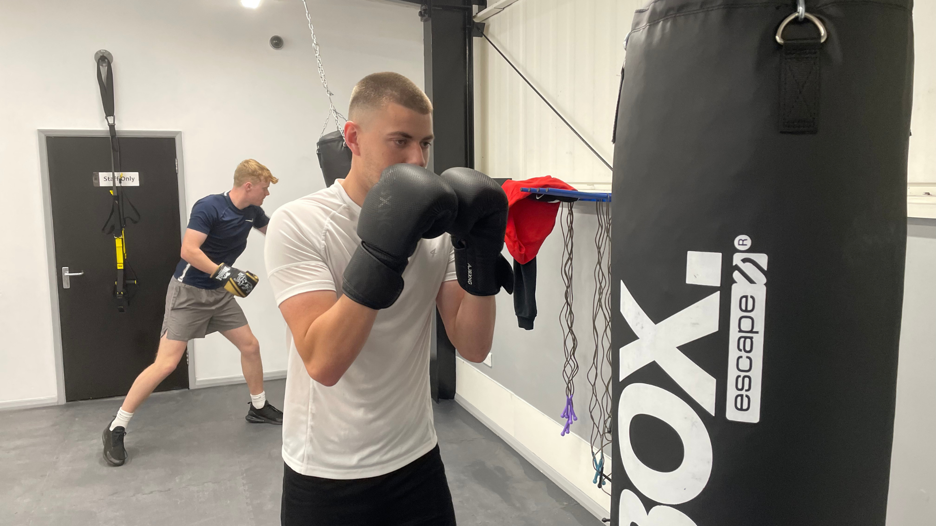 MC website images (6).png MC website images (6).png