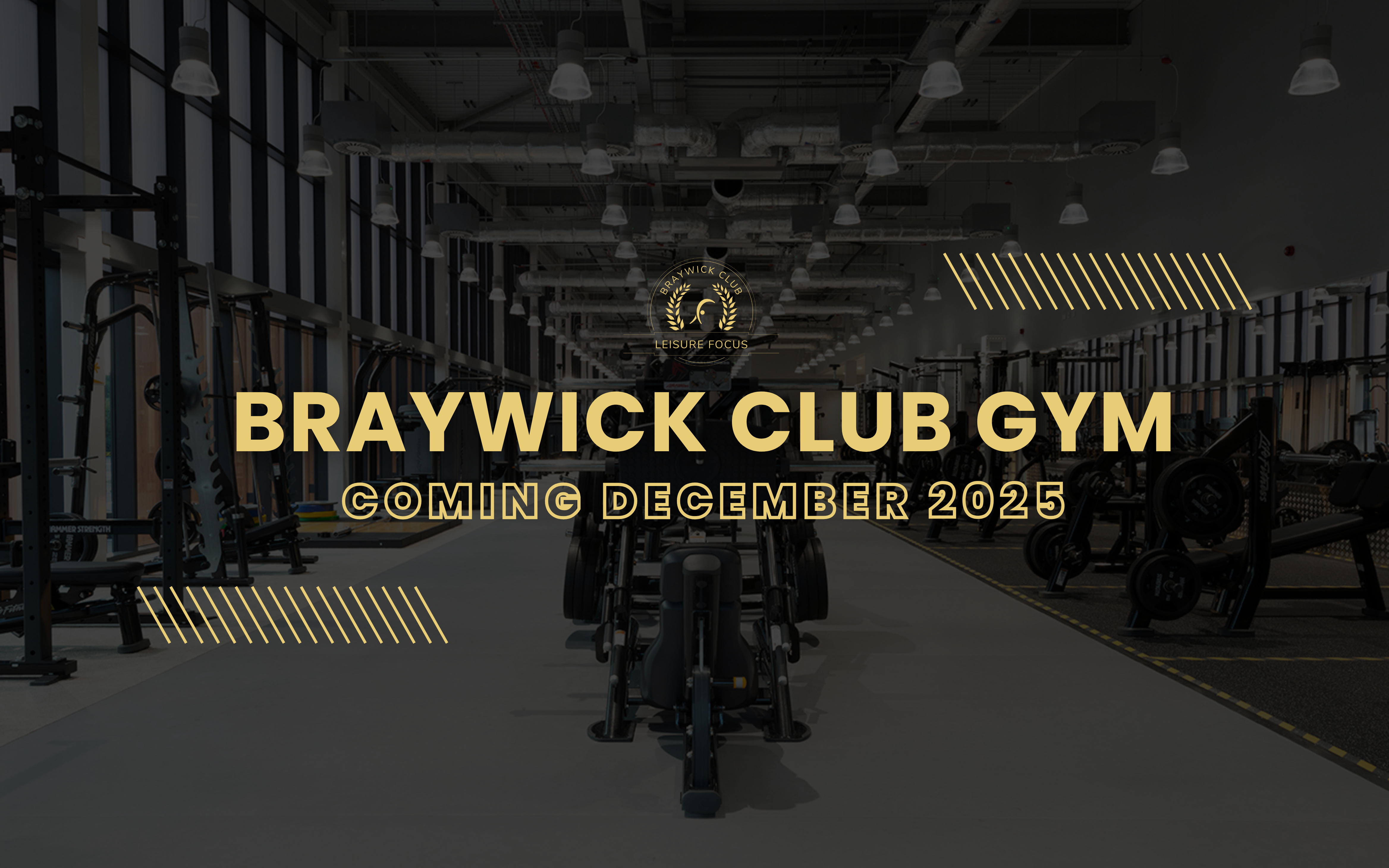 MC website image.png