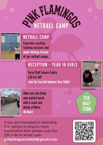 Pink Flamingos Netball Camp.jpeg